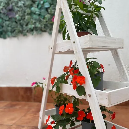 Noreas Centro Lucus Augusti